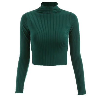 

New Ladies Womens Turtle Neck Crop Long Sleeve Plain Short Stretch Top