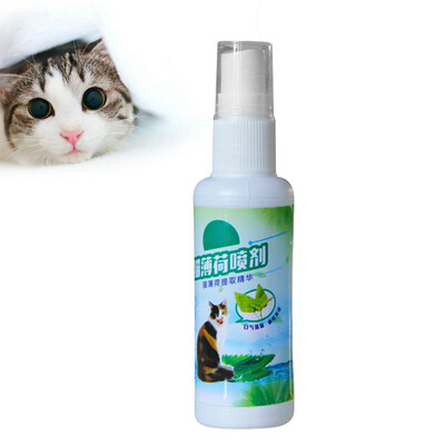 

Natural Cat Mint Catnip Pet Training Toy Organic Premium Scratcher Spray Cat Mint Menthol Flavor Cats Treats Funny Toy