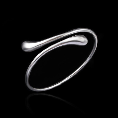 

Silver gifts Luxury Hot New Valentines Bracelet Bracelet day Water