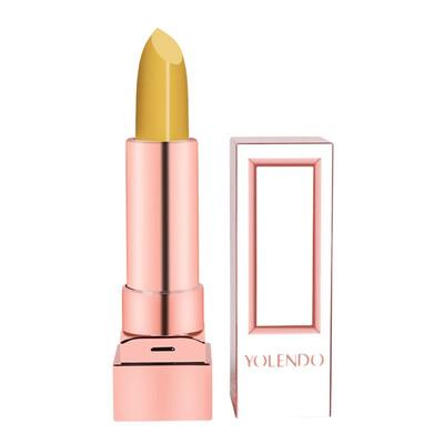

Sexy Red Matte Velvet Lipsticks Color Cosmetics Pigments Waterproof Long Lasting Moisturizing Lipstick Lips Beauty arrival