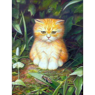 

5D DIY Diamond Painting Animal Cat Full Square Embroidery Sale Rhinestone Picture Diamond Mosaic Cross Stitch Home Decor