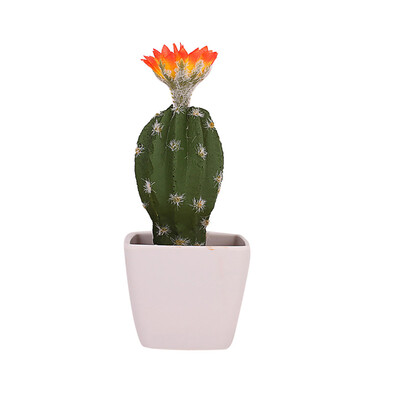 

Toponeto Simulated Potted Cactus Artificial Green Plant Potted Flower Art Home Decor