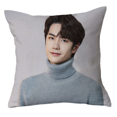 

1Pc Chen Qingling Wang Yibo Pillow Case Cover Cushion Sofa Car Winter Home Decor