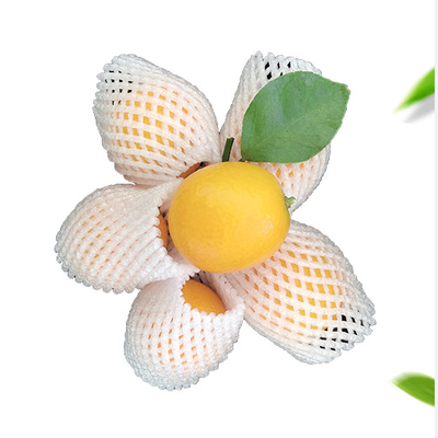 

YI WANG QING SHEN Strawberry Packaging Foam Fruit Net Set Express Anti-vibration Pearl Cotton Bag
