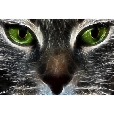 

5D DIY Full Drill Diamond Painting Green Eye Cat Cross Stitch Embroidery