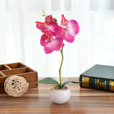 

Gobestart Simulated Plant Bonsai Indoor Butterfly Orchid Bonsai Plants Elegance Tranquilit