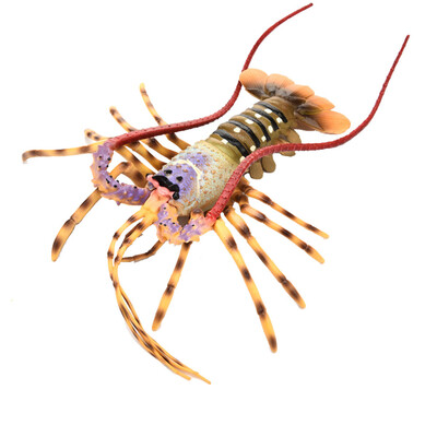 

〖Follure〗Simulation Model Of LobsterKids Early Education Play ToyKitchen Decoration