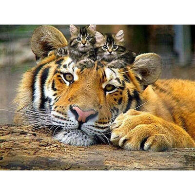 

5D DIY Full Drill Diamond Painting Tiger Cross Stitch Embroidery Mosaic Kit