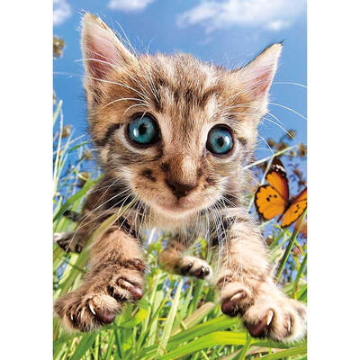 

5D DIY Full Drill Diamond Painting Cross Stitch Embroidery Kit Home Decor