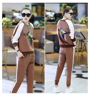 

sport suit of golden fleece 2018 autumn wear new womens fashion slim&embroidery long-sleeved head sweater sportswear