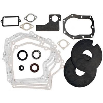 

Replacement Gasket Set Motorbike Gasket for Briggs&Stratton 391834492653 Includes Seals