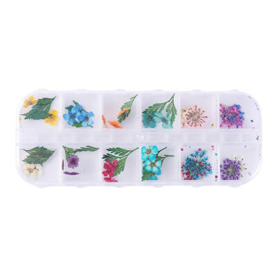 

3D Nail Art Dried Flower Leaf DIY Manicure Preserved Natural Floral Sticker