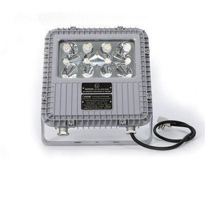 

Tormin Explosion Proof LED Square Floodlight BC9101 5355