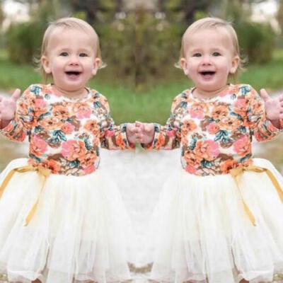 

Baby Girl Kid Party Tutu Lace Long Sleeve Floral Dress Wedding Birthday Princess