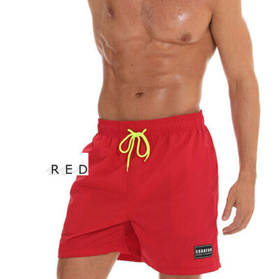 

Mens Beach Board Swimwear Swim Trunks Surf Quick Dry Stretch Shorts Surf Pants