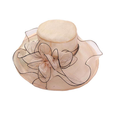 

Floral Organza Wide Brim Church Kentucky Derby Fascinator Lady Tea Party Sun Hat
