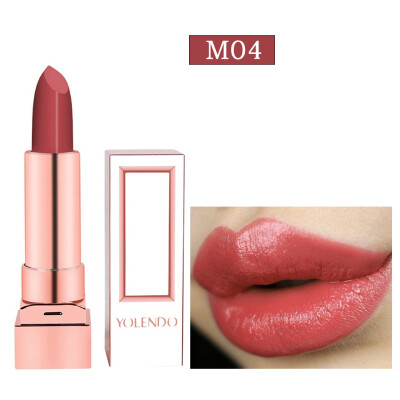 

Sexy Red Matte Velvet Lipsticks Color Cosmetics Pigments Waterproof Long Lasting Moisturizing Lipstick Lips Beauty arrival