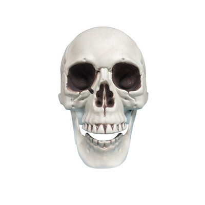 

Siaonvr Halloween Decorations Resin Wacky Funny Novelty Skull Toys