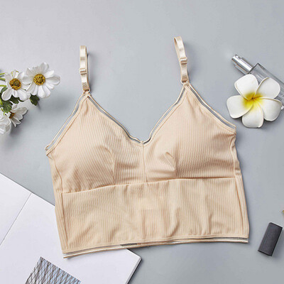 

Women Beauty Padded Back Bra Wild Tube Top Underwear Eight-Breasted Slim Vest With Padded Long Hem Strap Bra