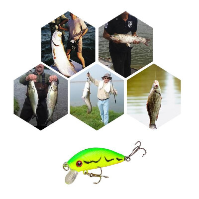 

50mm Fishing Lures Bionic Bait Simulation Fish Lures 3D Eyes Double Hooks Artificial Attractive Baits Fishing Tackle