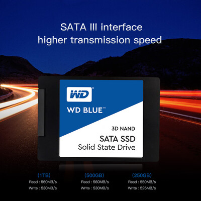 

Western Digital WD Blue 1TB PC SSD 3D NAND SATA3 6GBs 25 Inch Solid State Drive Hard Disk for PC LaptopWDS100T2B0A
