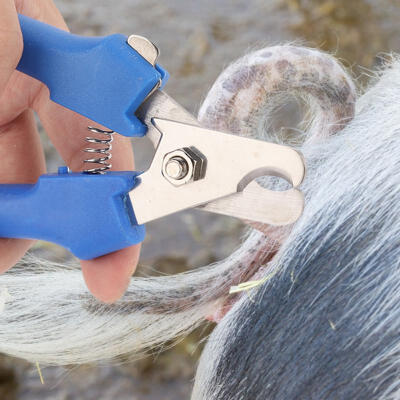 

Greensen High Quality Pig Sharp Cut Tail Clamp Cutter Tail Cutting Pliers Livestock Equipment