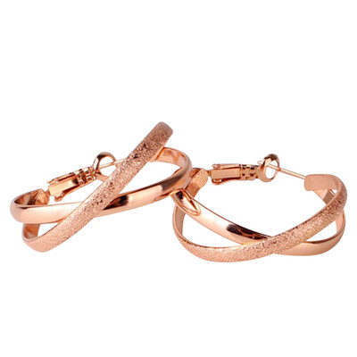 

Fashion Matte 2 Layers Eye-Catching Ladies Hoop Earrings 14K Gold Plated Earrings Supplies