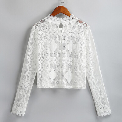 

Women Cover Up See Through Floral Lace Hollow Out High Neckline Long Sleeve Sexy Beach Blouse