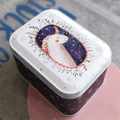 

Metal Tin with Lid Storage Box Container Small Rectangle Lovely Storage Box