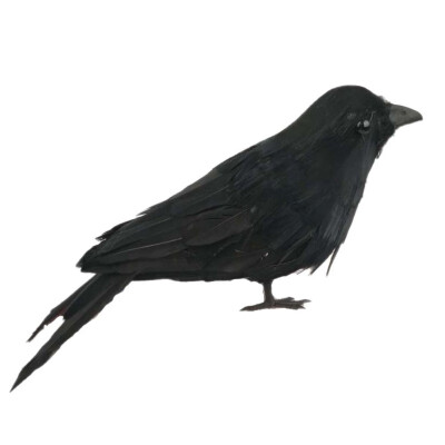 

Stuffed Feathered Black Raven Crow Bird Decoration Fancy Dress Halloween New