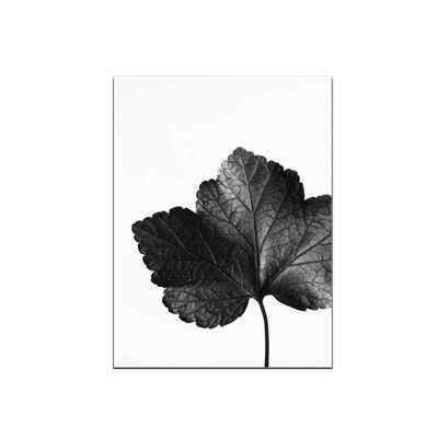 

Black Leaves Visible Leaf Vein Patterns Canvas Printed Frameless Oil Paintings Drawings for Gallery