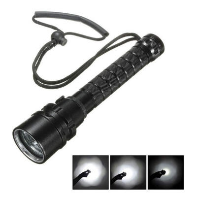 

ZHISHUNJIA 2400LM Professional Diving Flashlight Aluminium Alloy LED Torch for Outdoor Activities