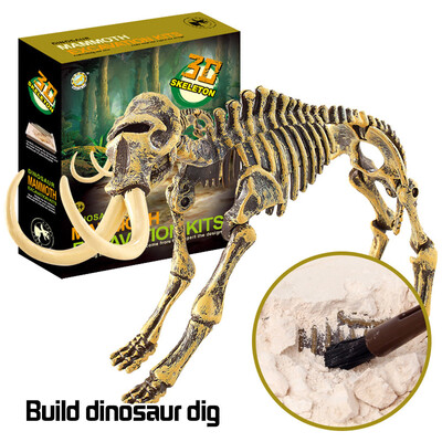 

Dinosaur Toys Science Educational Dig Kit Dinosaur Fossil Excavation Kits
