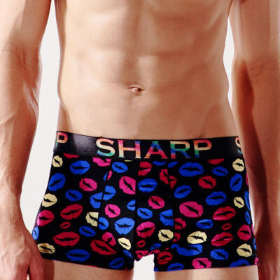 

Mens Ice Silk Boxers Stylish Print Boxer Briefs With Pouch