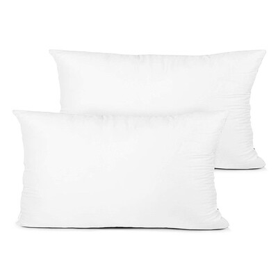 

Siaonvr 2-Piece Hypoallergenic Down Substitute Polyester Square Pillow Core 30x50cm
