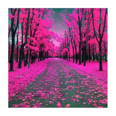 

5D DIY Full Drill Diamond Painting Forest Cross Stitch Embroidery Mosaic