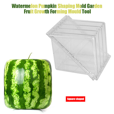 

SquareHeart-shaped Watermelon Pumpkin Shaping Mold Garden Fruit Growth Forming Mould Tool