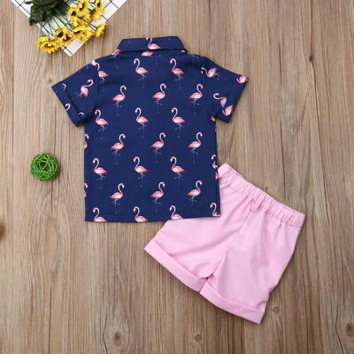 

2PCS Set Toddler Kid Baby Boy Flamingo Tops T-shirtShorts Pants Outfits Clothes