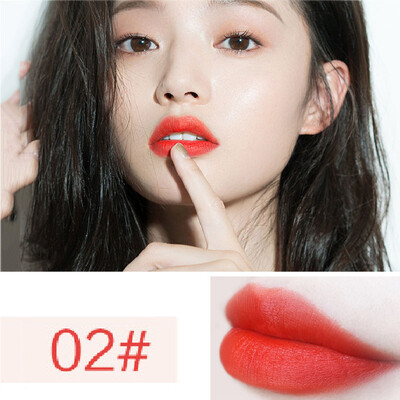 

Matte Lipstick Long Lasting Moisturizing Lipstick For Lip Gloss Set Make Up