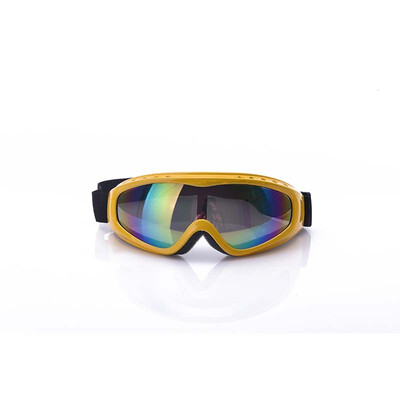 

Blue Drills Ski goggles outdoor sports goggles 300 pairs 15279