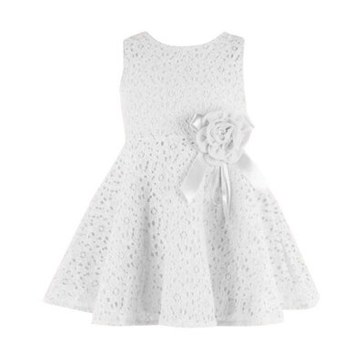 

Summer Toddler Baby Girls Kids Lace Floral Dress One Piece Party Princess Dresses Girl Vestido