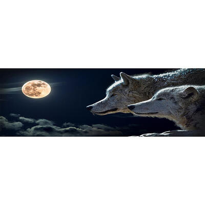 

5D DIY Full Drill Diamond Painting Night Wolf Cross Stitch Embroidery Kits
