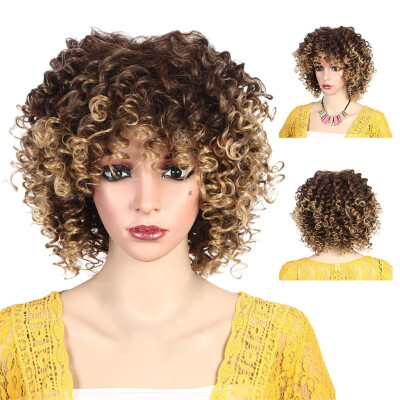 

〖Follure〗High Temperature Silk Breathable Rose Net Long Curly Hair Explosion Head Wig