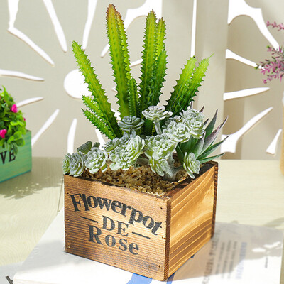 

Succulent Plants Potted Creative Ornaments Simulation Bonsai For Room Decor Pro