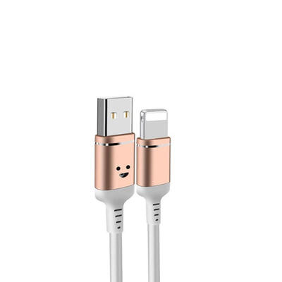

LED Lightning Charge Cable Stylish Light Up Quick Charge Cable