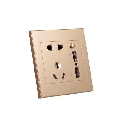 

Electric Outlet with 2 Sockets&2 USB Ports Wall Mount Socket Gold