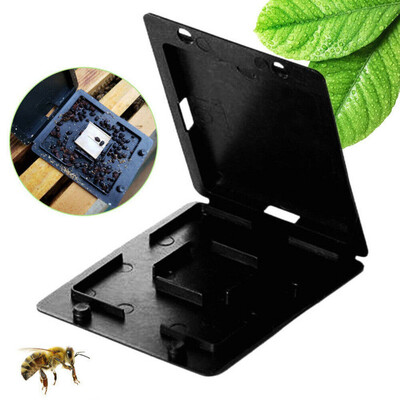 

Gobestart Insect Traps Beehive Garden Supplies Beekeeping Tool Plastic Beetle Collector
