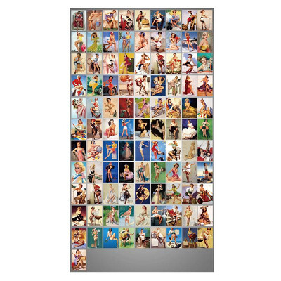 

100 Pcs Cartoon Stickers Mixture Sticker Set Decals Packs for Water Bottle Laptop Cellphone Skateboard Bicycle Motorcycle Car Bump
