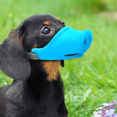 

Pig Nose MUZZLEFunny Silicone MUZZLE for dogsDOBERMANfunny dog accessory