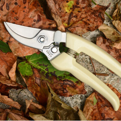 

Siaonvr Stainless Steel Fruit Tree Pruning Shears Scissors Garden Fruit Trees Scissors